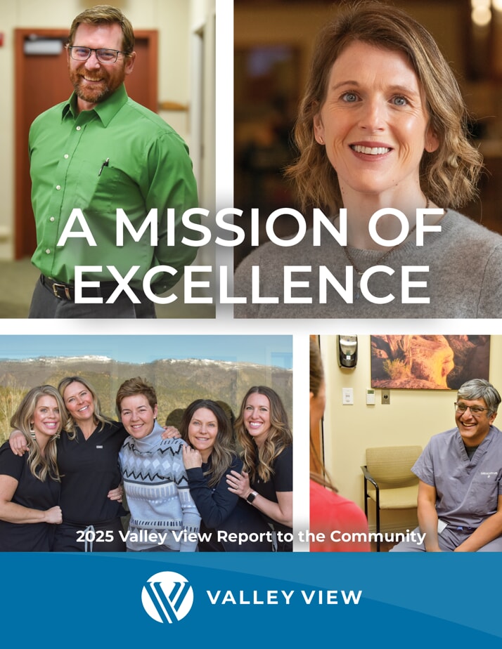 VV annual report 2025